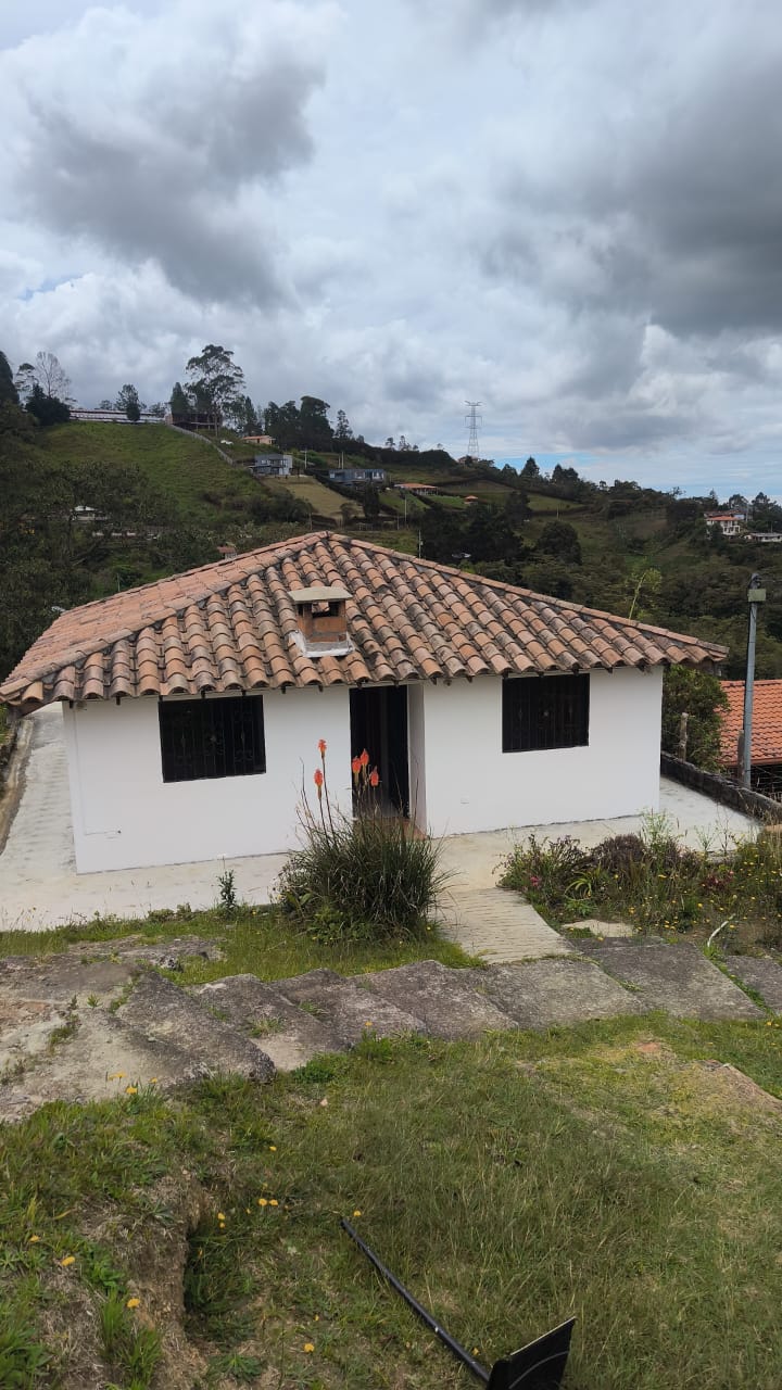 adjunto