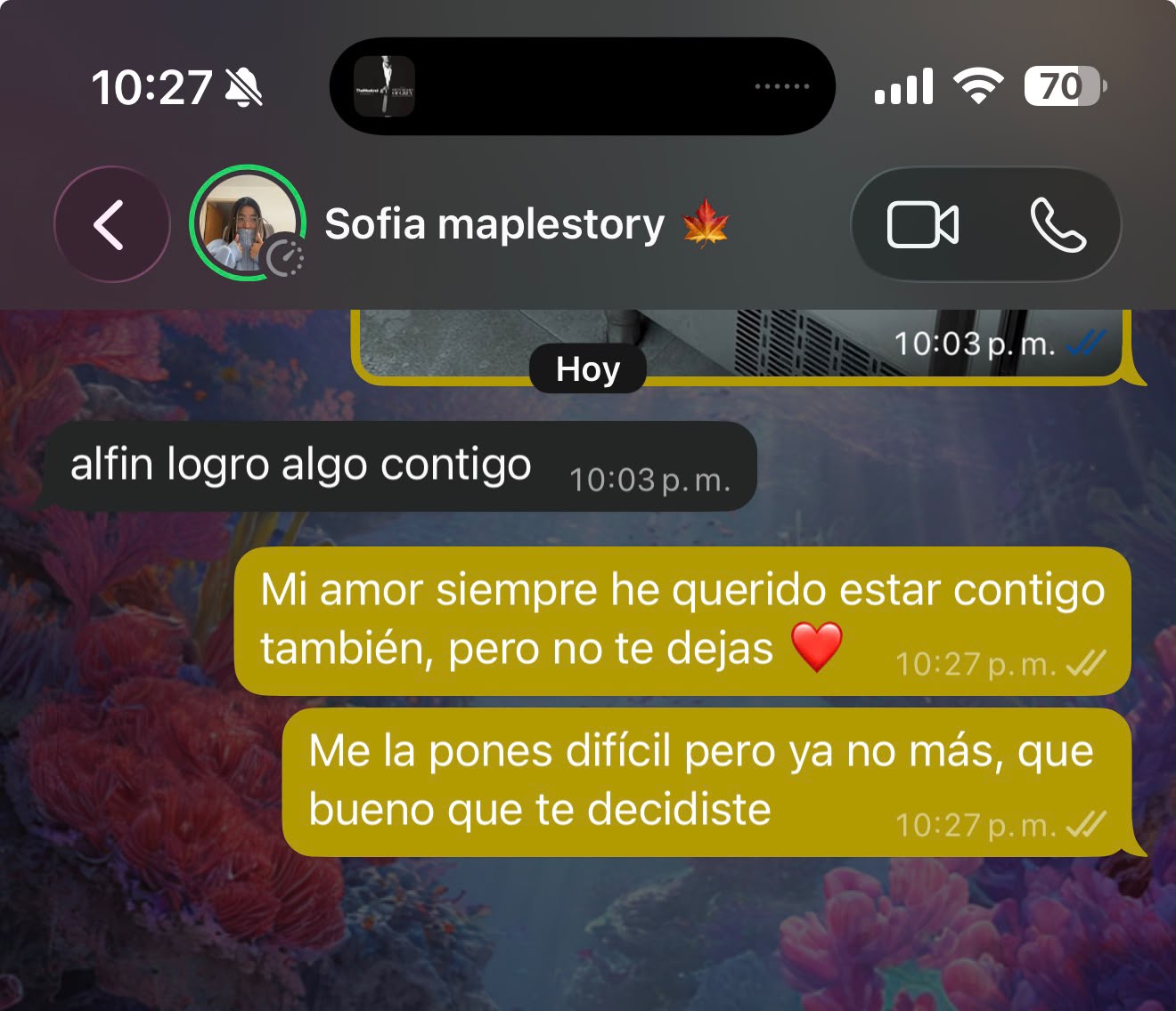 adjunto