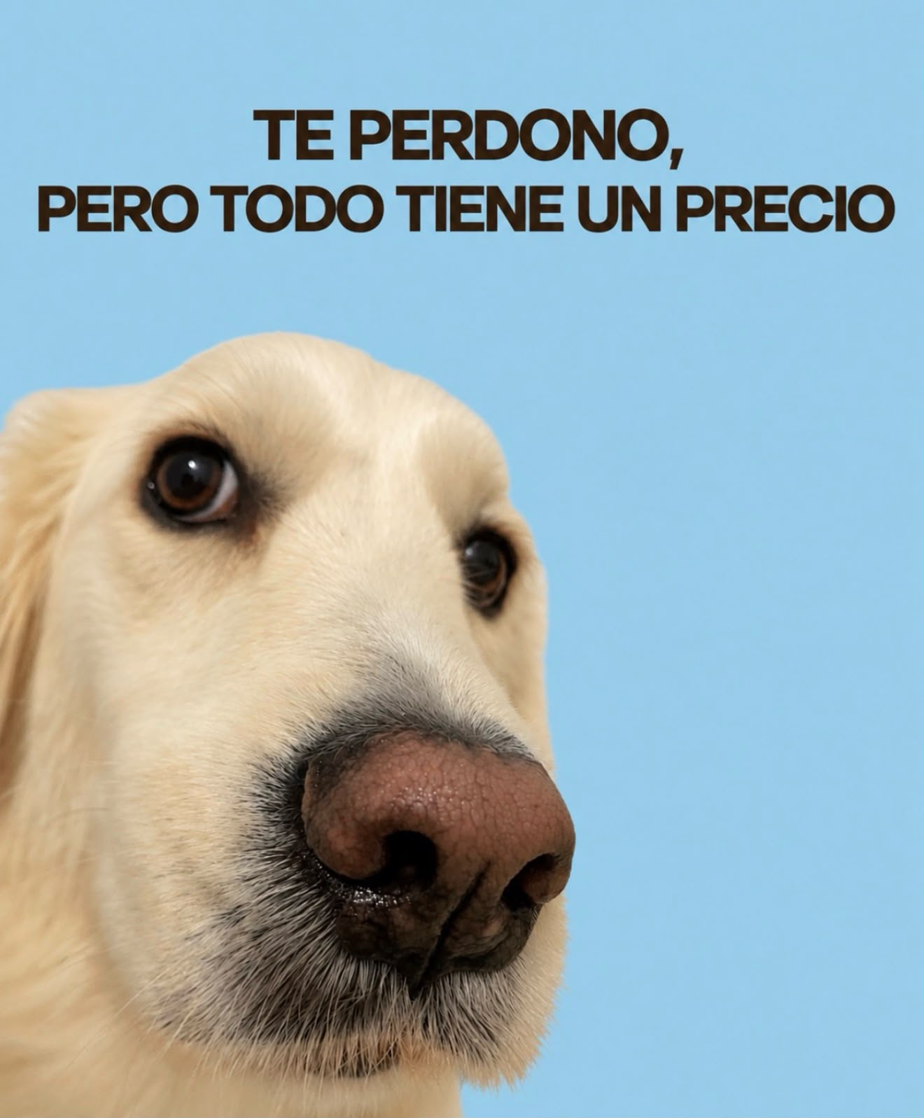 adjunto