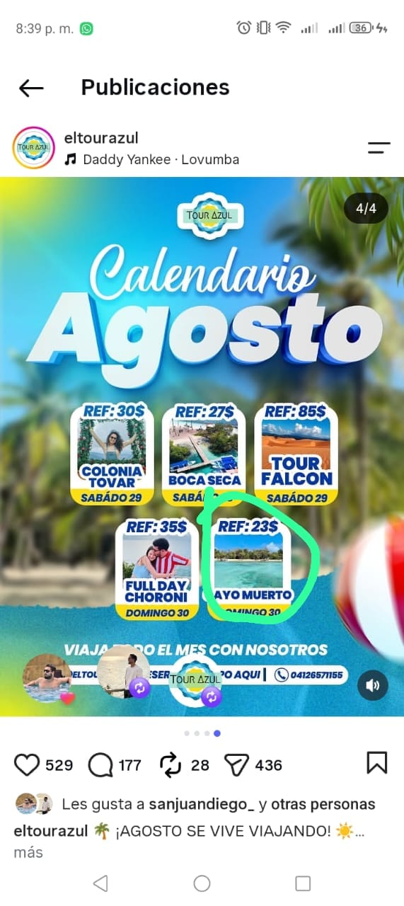 adjunto
