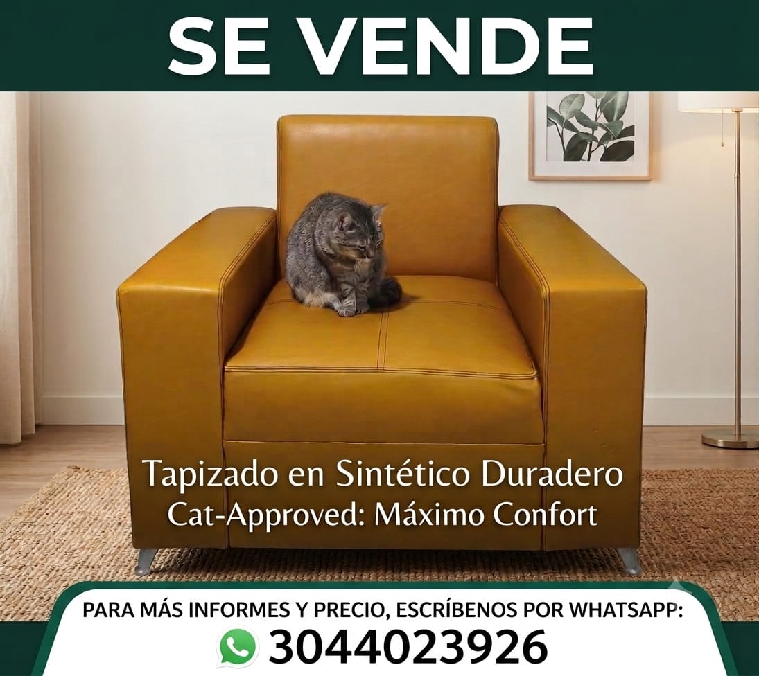 adjunto