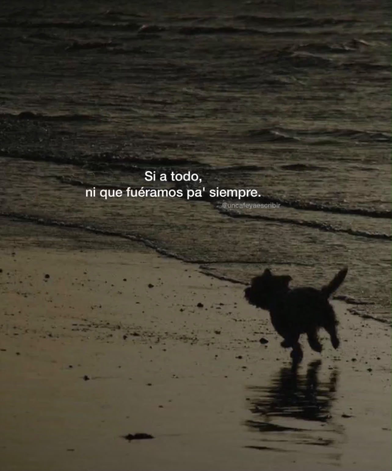 adjunto
