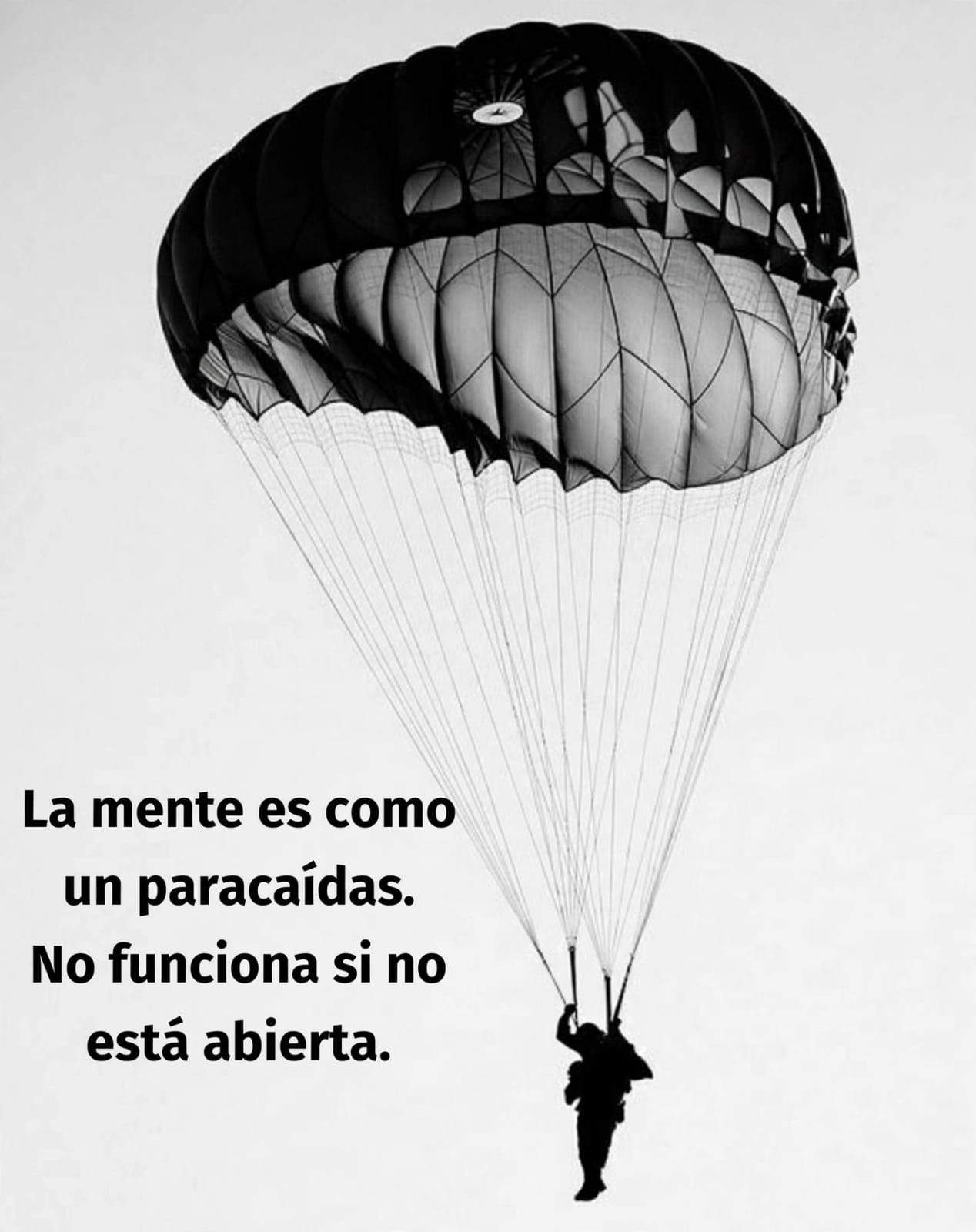 adjunto